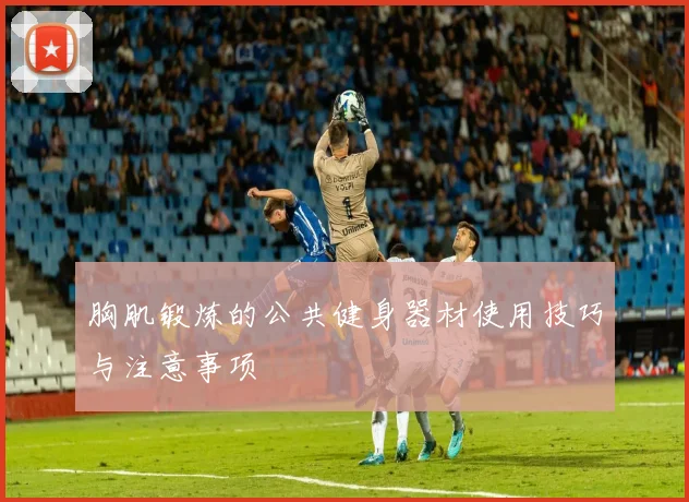胸肌锻炼的公共健身器材使用技巧与注意事项