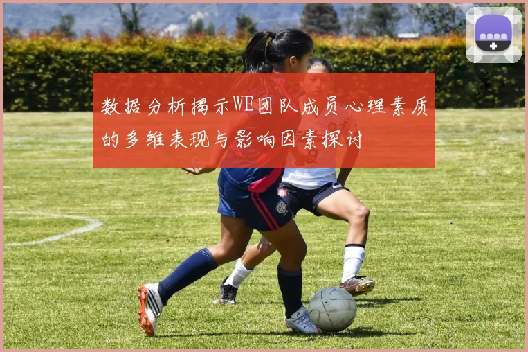 数据分析揭示WE团队成员心理素质的多维表现与影响因素探讨